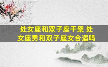 处女座和双子座干架 处女座男和双子座女合适吗